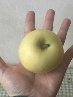 巴掌大小的苹果🍎山东奶油富士