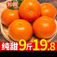 纯甜广西沃柑一级品10斤新鲜水果武鸣皇帝柑当季整箱蜜橘子桔批发