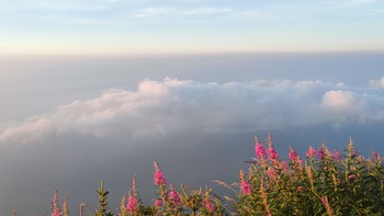 九峰山，我今年最值的登山活动，以后没机会了😭[发此文纪念]