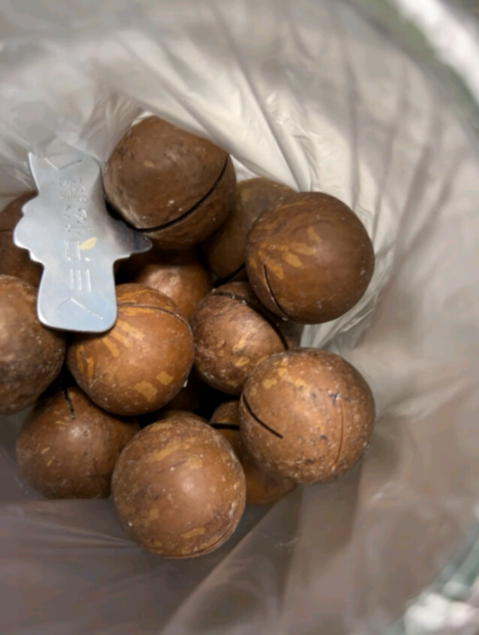 2022-12-16 19:32:31夏威夷果其实原产地不是夏威夷而是在澳洲,被移植