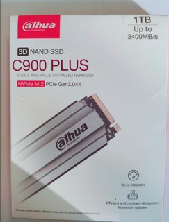 379的大华 C900 PLUS  固态