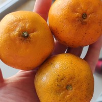 消费心得 篇七：橘子一样大小的耙耙柑叫耙耙柑吗？