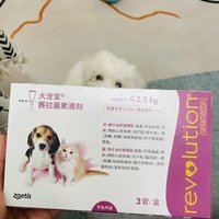 幼犬驱虫必备大宠爱