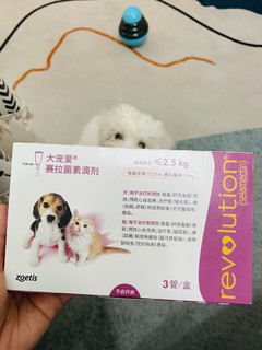 幼犬驱虫必备大宠爱