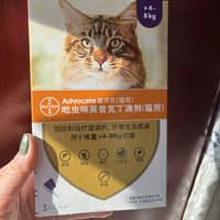防止猫咪被虫子骚扰的驱虫药