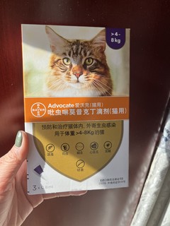 防止猫咪被虫子骚扰的驱虫药