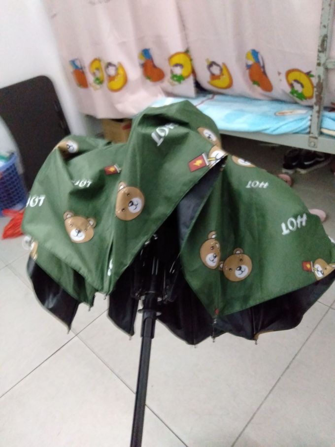 小熊自动雨伞推荐