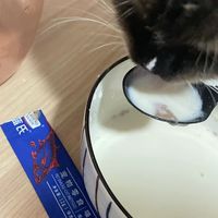 奶界顶流zeal.猫咪喝水利器