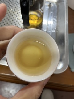 今日品福鼎白茶