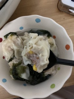 这个云吞颗粒饱满又丰富