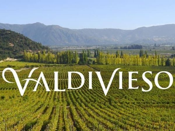 瓦帝维索四款测评 不愧是起泡发家！！！