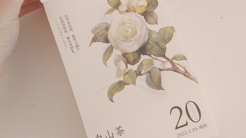 陌上开花日历，这也太漂亮了吧！