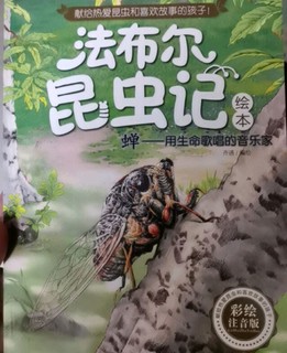 带领孩子了解昆虫的好书