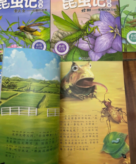 带领孩子了解昆虫的好书