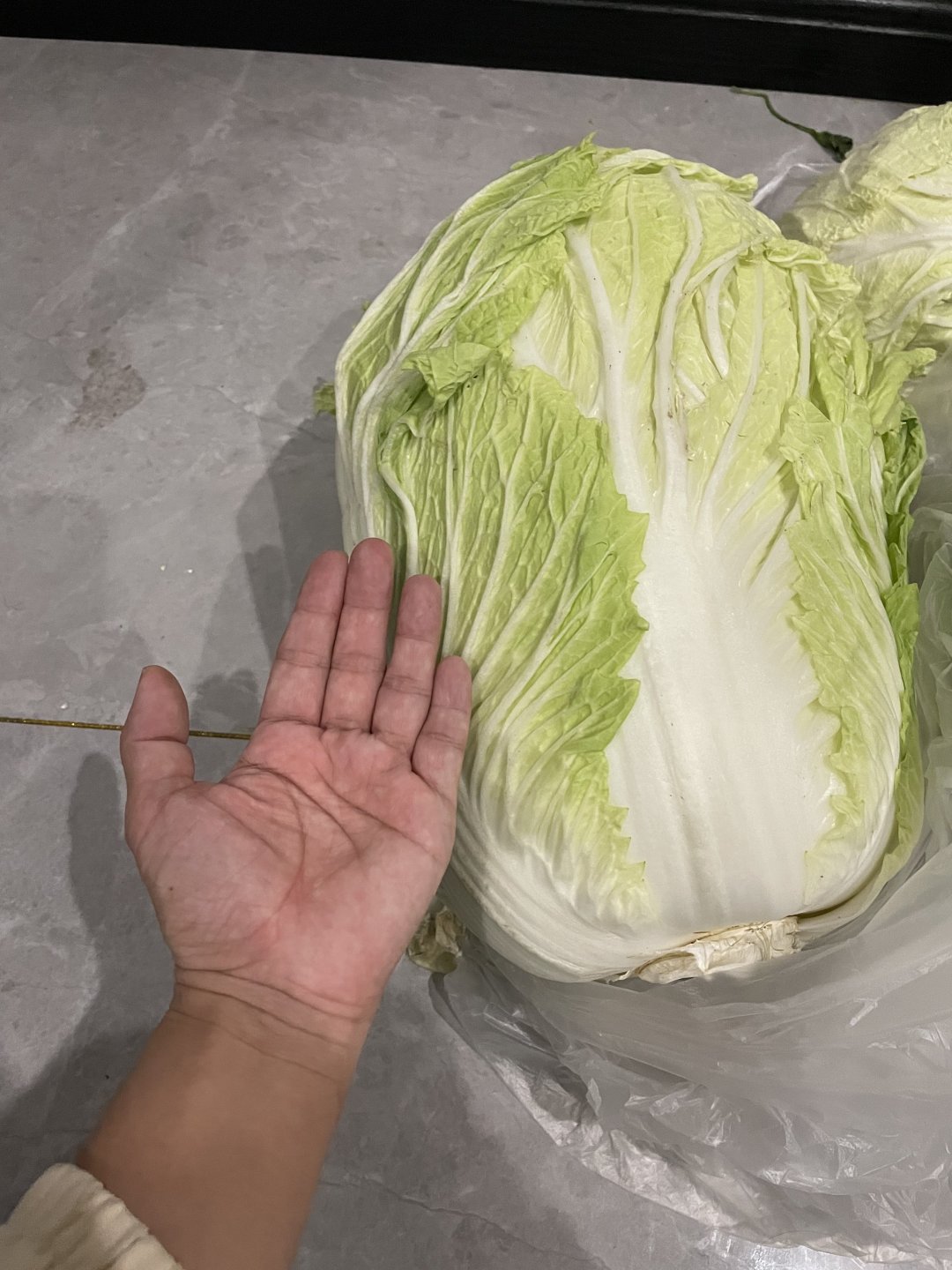家美舒达蔬菜怎么样囤秋菜啦——胶东大白菜走一走🥬_什么值得买