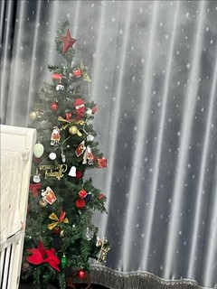 圣诞节的树