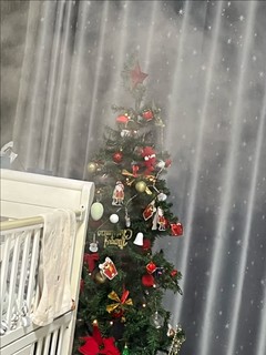 圣诞节的树