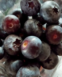 听说多吃蓝莓对眼睛有一定的好处