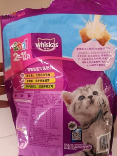 实在是买不起猫粮了！