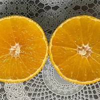 原创推荐 篇二百二十六：爱媛38号果冻橙，好吃。