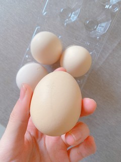 京东到家1分钱秒杀4个鸡蛋🥚，手慢无