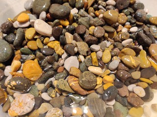 野外捡些石头放鱼缸里，你也会这么做吗？
