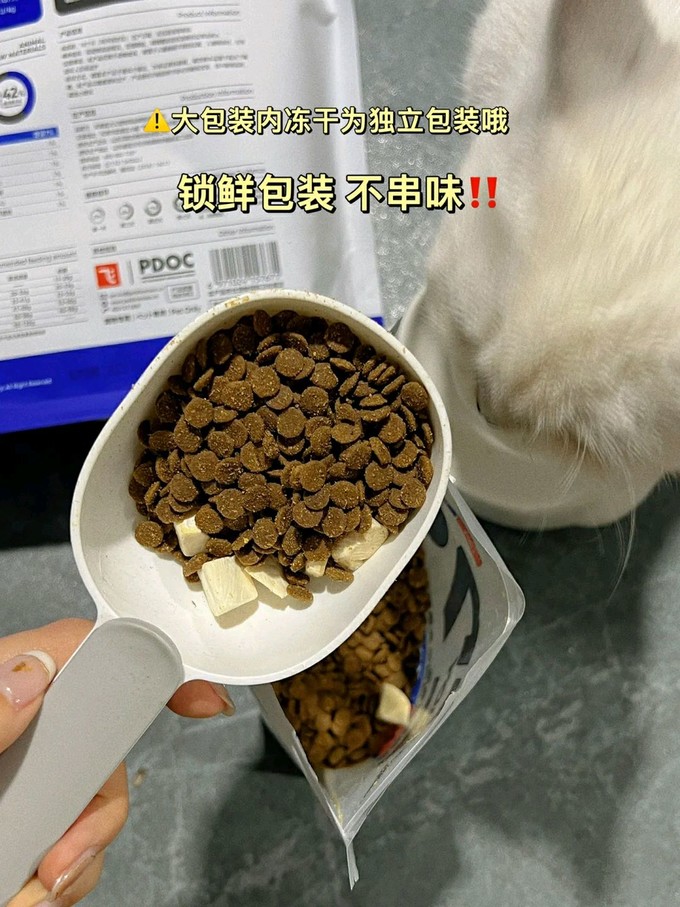 阿飞和巴弟猫粮