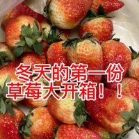冬天第一箱丹东大草莓