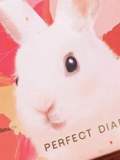 完美日记的兔兔眼影盘