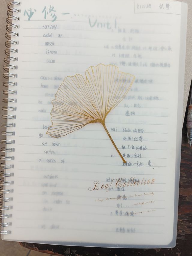 超级实用的PP线圈本！！！