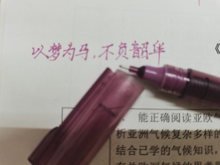 【开学必备】绝美！复古色烟熏玫瑰直液笔