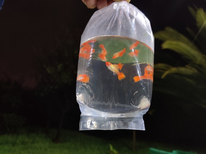 意牌水族用品