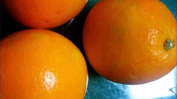 多吃橙子补维C健健康康迎接新年