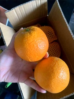 [网购水果不翻车1之麻阳冰糖橙