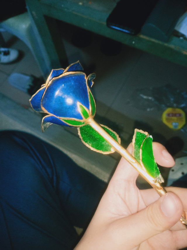 今日好物永生花推荐