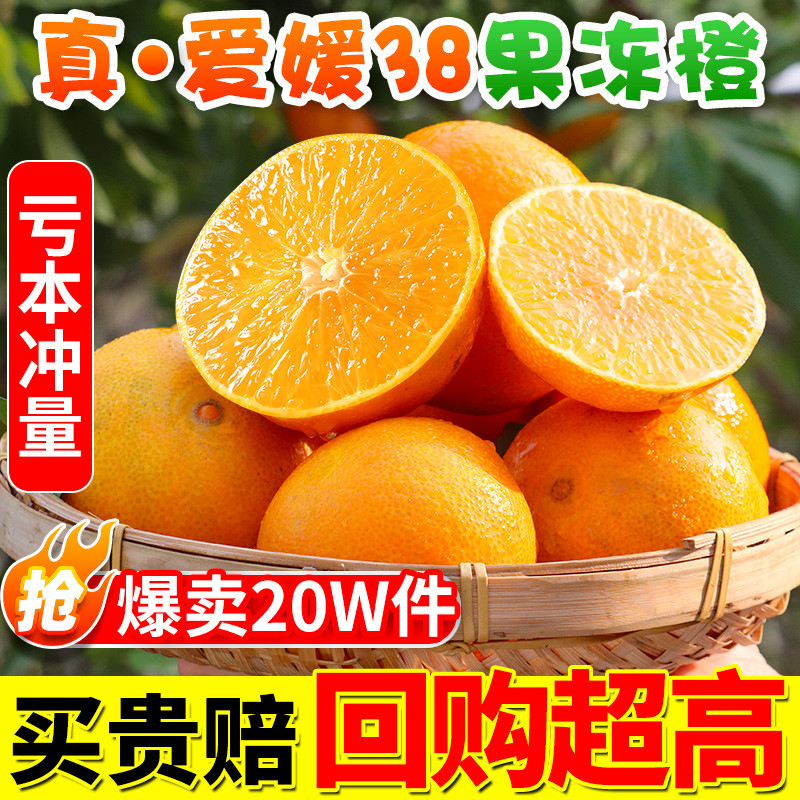橙子界的天花板、2022年吃的最多的水果维C小炮弹褚橙
