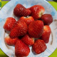 丹东九九草莓，年度最爱水果～