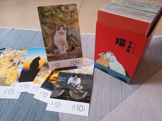 一款带有猫猫照片的日历