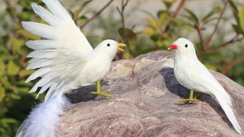 仿真小鸟羽毛鸟情侣鸟母子鸟定做羽毛工艺品家居摄影道具假鸟摆件