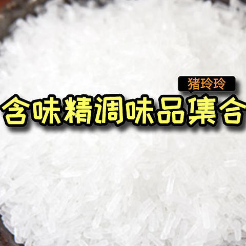 含味精(谷氨酸钠)调味品集合