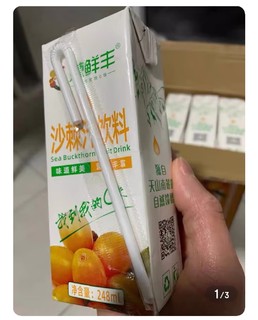 丰富维C 沙棘汁