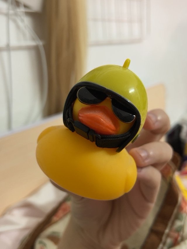 投篮比赛得的免费鸭子。