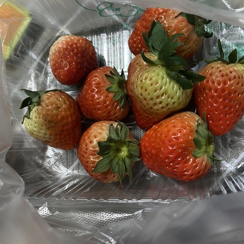 这几个草莓🍓四十几块🥹