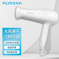 飞科（FLYCO）电吹风机家用理发店大功率发廊冷热风吹风筒FH6232经典款FH6232