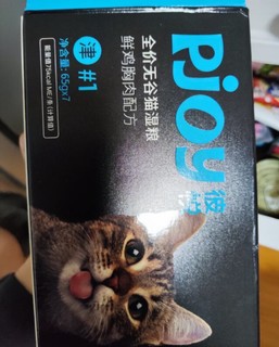 流浪猫加餐精品！