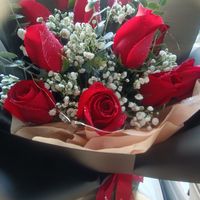 红色的玫瑰花属于你的浪漫