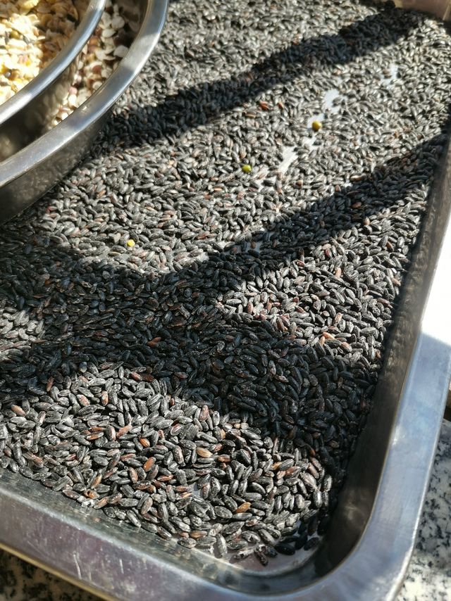 黑色主肾 ，肾主骨生髓