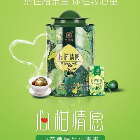 2022年小清新，心柑情愿，中茶普洱茶新会小青柑熟茶