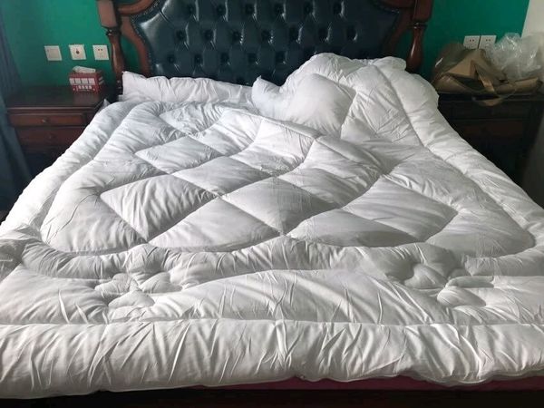 水星家纺被子冬被冬季加厚被芯抗菌升级