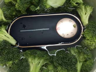 果蔬清洗机吃的放心，洗的方便特别推荐！